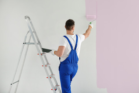 A painter painting an empty room pink on a ladder.