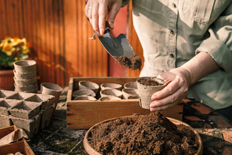 gardener-filling-a-pot