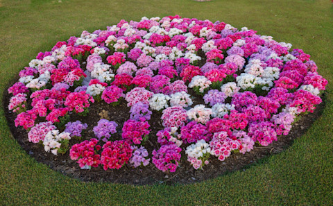 How to make flower bed 3