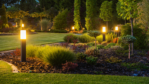 Garden renovation 2