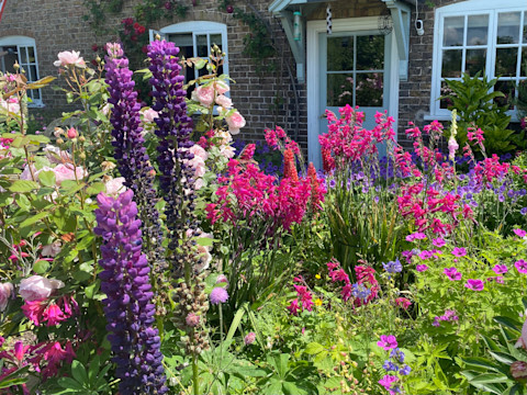 Flower garden ideas 4