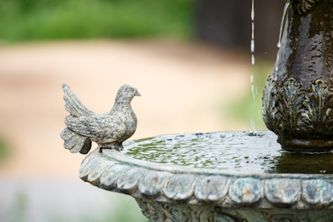 stone-fountain