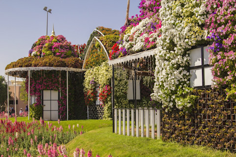 A cottage with an expansive lawn with flowers in the garden. The cottage has a green living roof covered in multicoloured flowers.