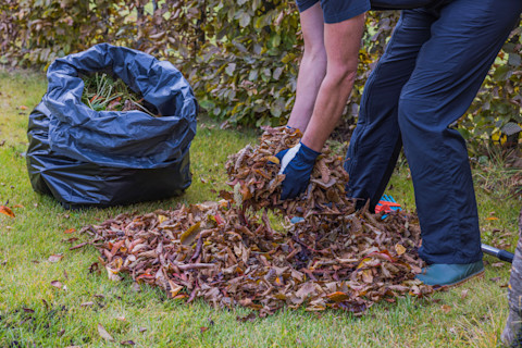 A man is packing up a bag with garden waste.