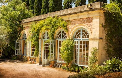 The image shows an orangery with large windows in bright sunshine, surrounded by green foliage.