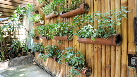 Contemporary garden 2 (1)