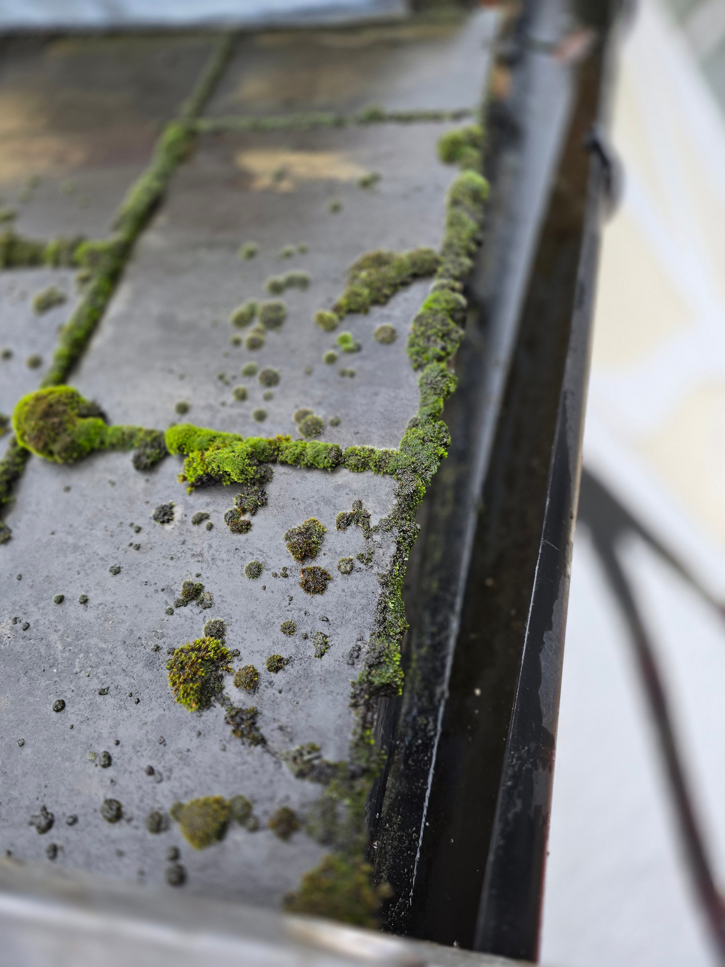 Gutter Cleaning Project