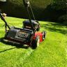 Tony’s gardener