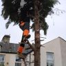 A1 gardening services