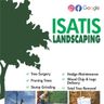 Isatis lanscaping
