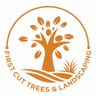 First cut trees