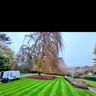 Hawkers garden maintenance