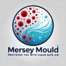 Mersey Mould Ltd