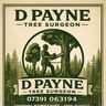 David payne