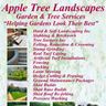 Apple Tree Landscapes