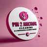 Pin2Anchor Cleaning Services Ltd