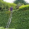 A.Miskin Gardening Services