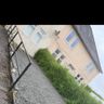 BLS landscapes