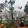 Brooks landscapes