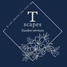T scapes