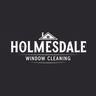 Holmesdale Cleaning Services