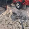 W&D tree surgery& landscaping