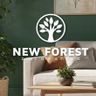 New forest decorating