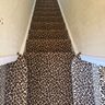 SJB Flooring Services