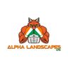 Alpha Team Ltd