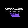 DW plastering