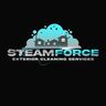Steam force exterior cleaning services