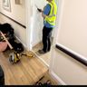Cygnus (Construction & Maintenance) Ltd