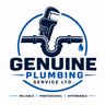 Genuine plumbing service