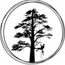 Bm tree surgeons