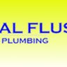 Royal Flush plumbing