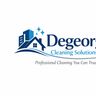 DEGEORGES SOLUTIONS LTD