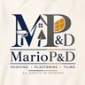Mario P&D