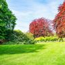 GREEN GARDENS D&S LTD