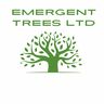 Emergent Trees Ltd