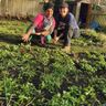 Wild Women Gardeners