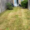 D&B gardening services