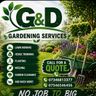 MDM&SON LTD