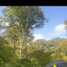 The tree firm