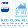 ProFlow Plumbing Services