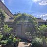 Caspar Brown Gardening