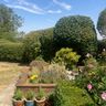 Matthews Gardening services