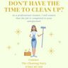 The cleaning fairy