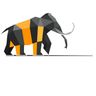 FDS Constructions Ltd