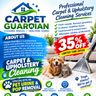 Carpet guardian ltd