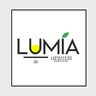 LUMIA landscaping and Building Services